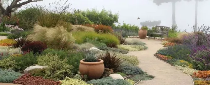 Software Tools Do Landscape Designers