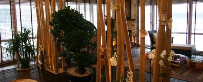 Bamboo Interior design ideas