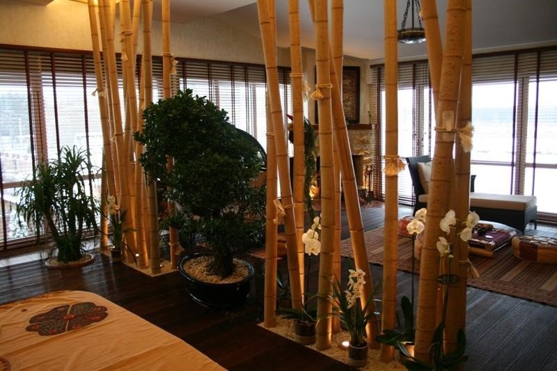 Bamboo Interior design ideas