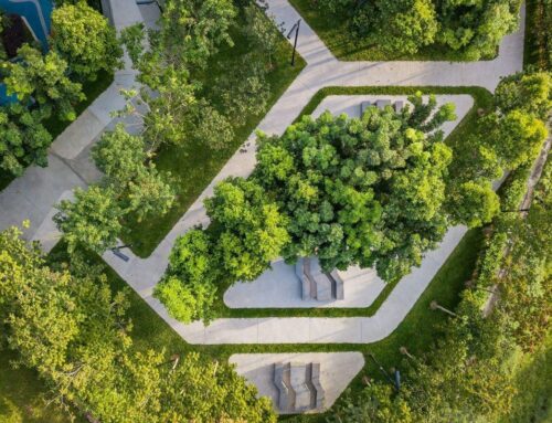 What is Landscape Architecture and Why It Matters in Modern Design
